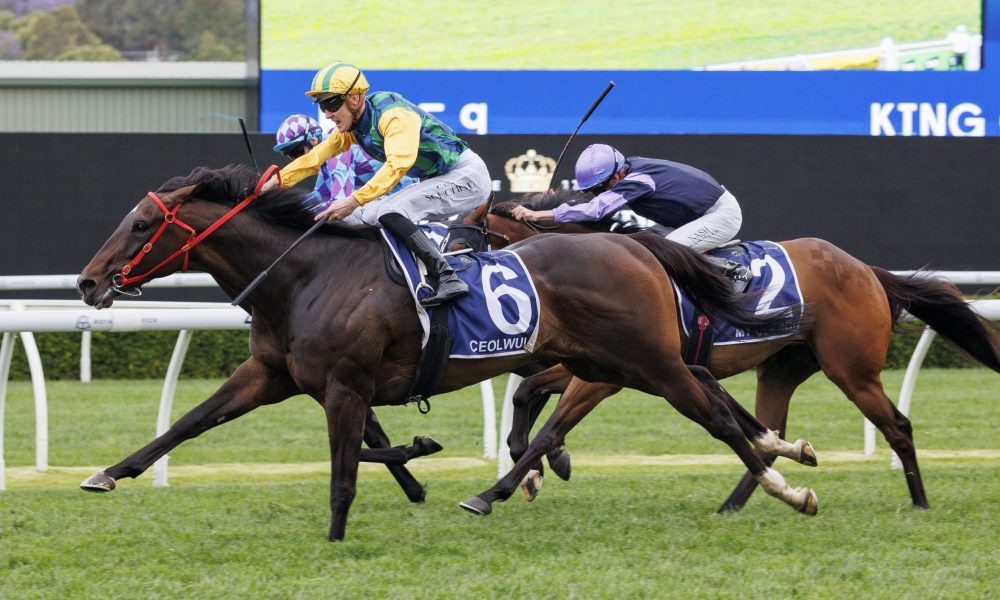 为中国田径 为中国田径