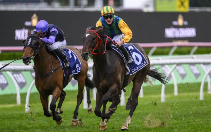 萨尔的新秀 萨尔的新秀