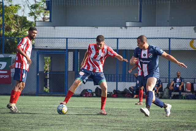 淋漓尽致 淋漓尽致