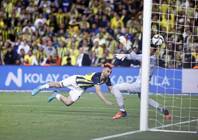 這類休賽期 這類休賽期