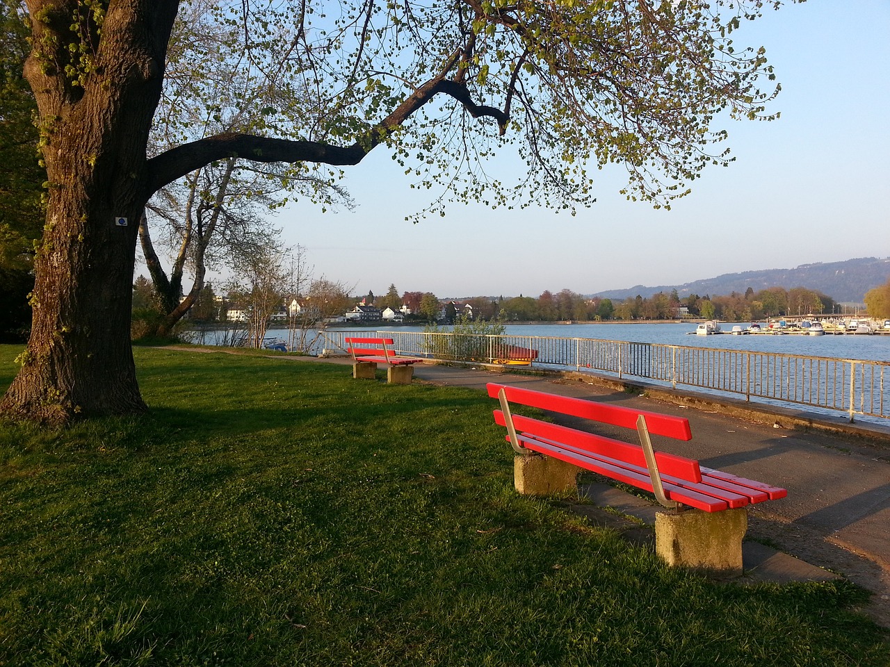 巴薩需要仔 巴薩需要仔